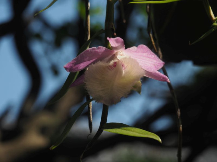 P6047912