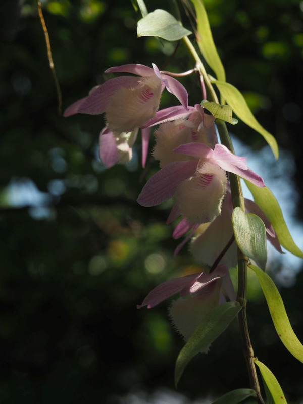 P6047913