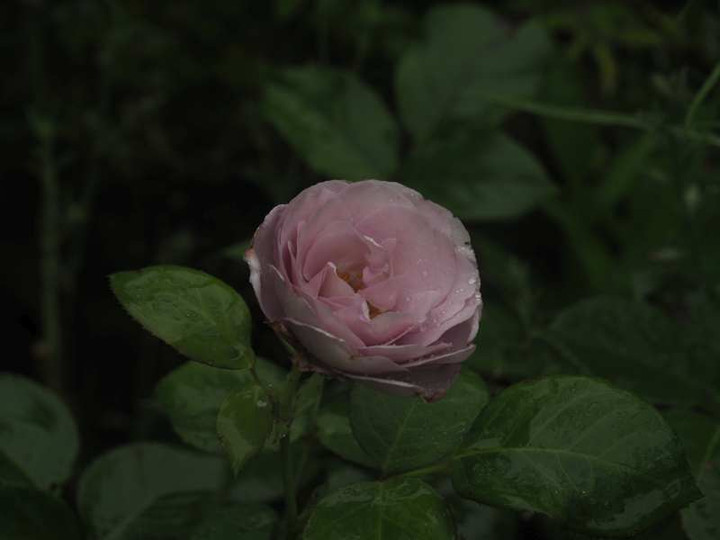 P6057924