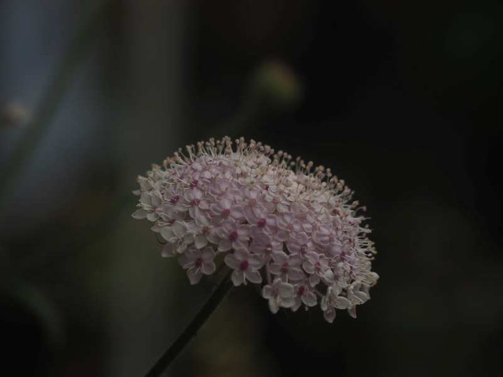 P6057930