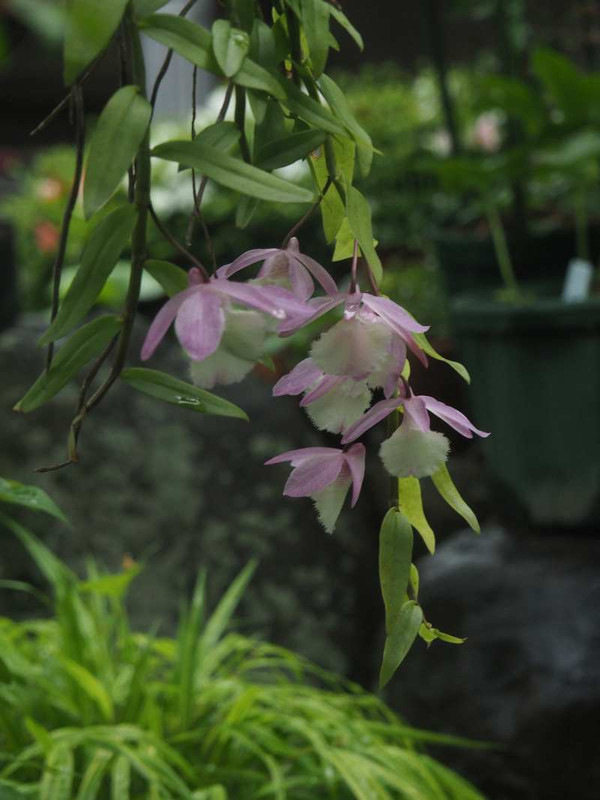 P6067940