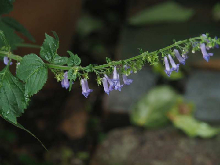 P6067942