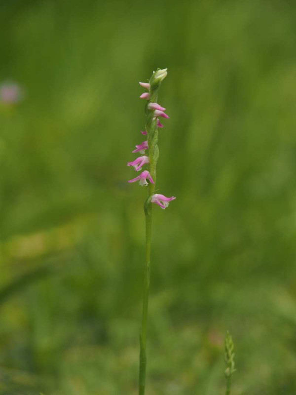 P6087952