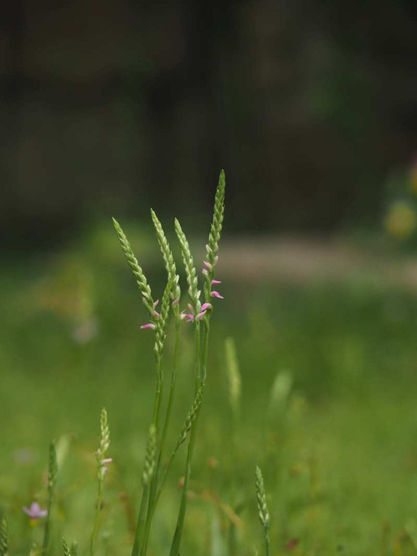 P6087954