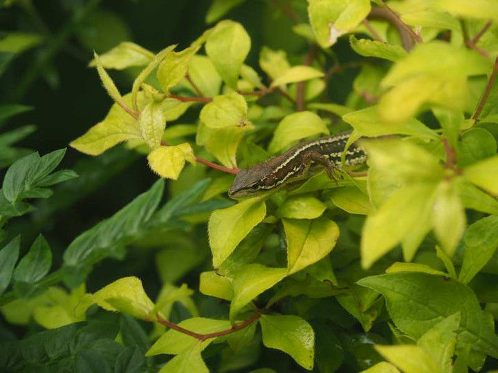 P6087968