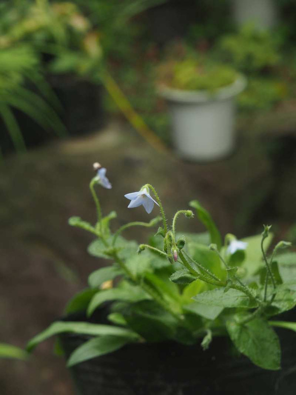 P6087973