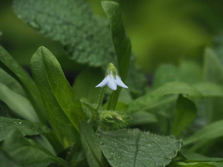 P6087975