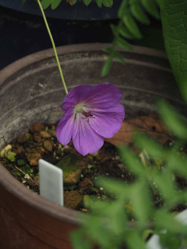 P6087977