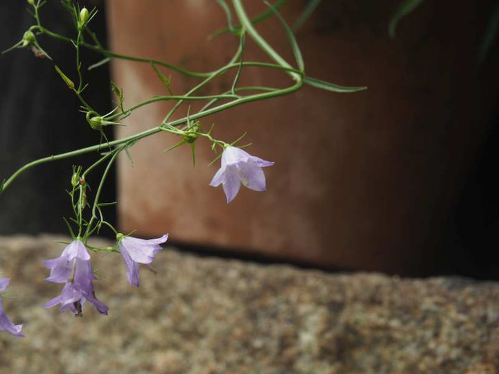 P6087979
