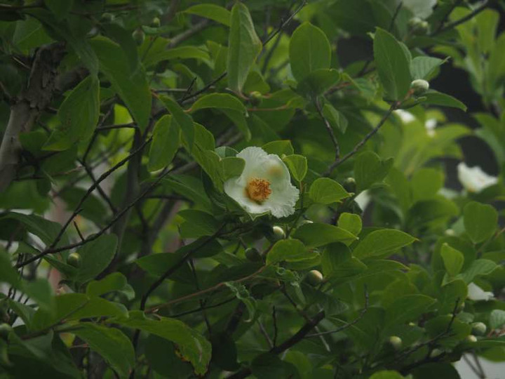 P6087982