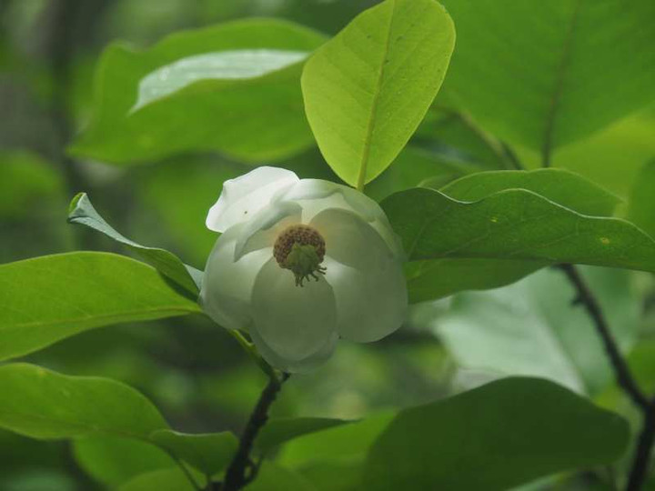 P6098046