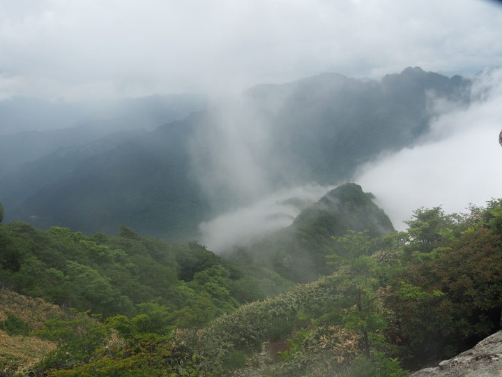 P6098155