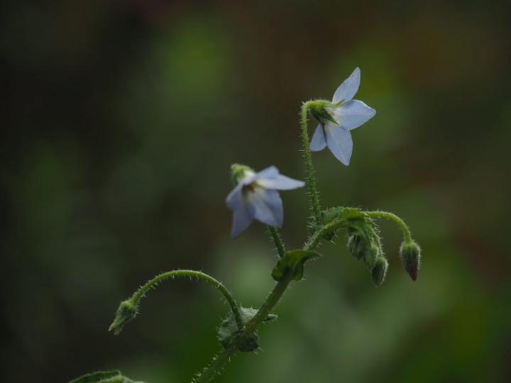 P6108289