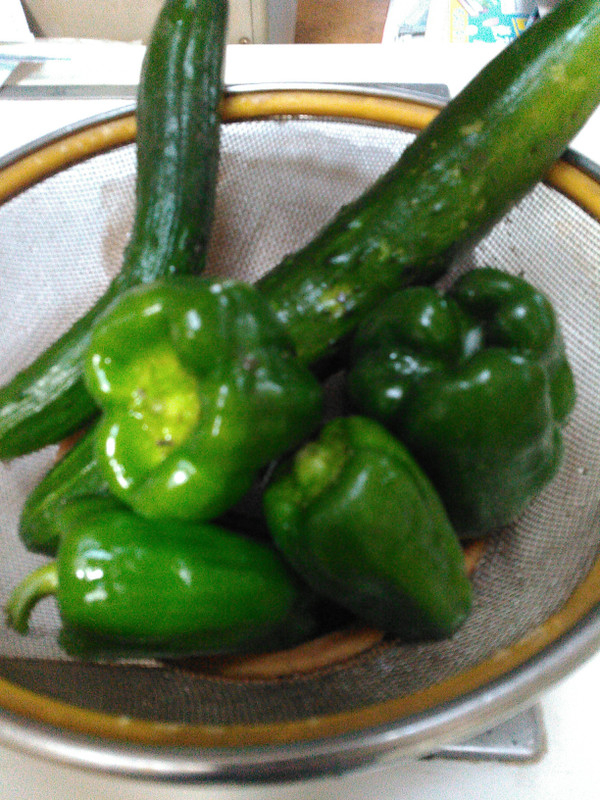 Kimg1288