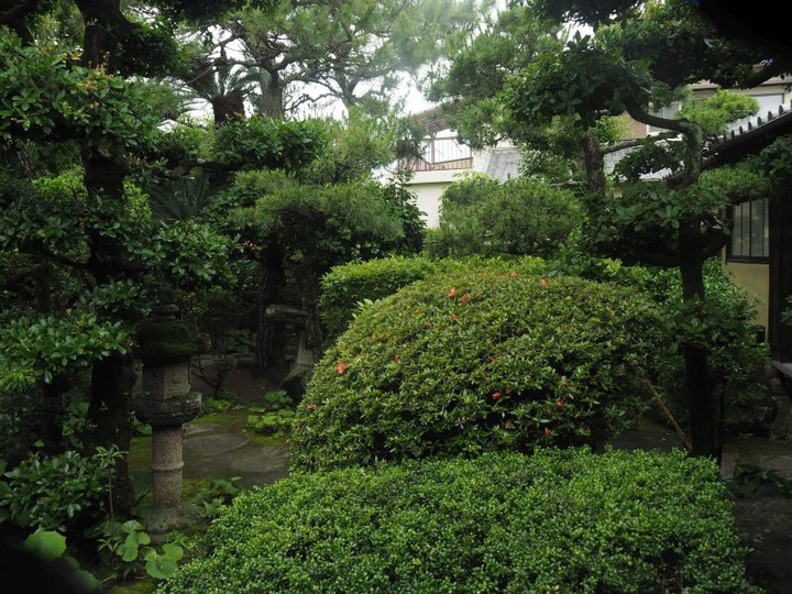 P6118309