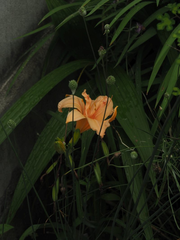 P6118321