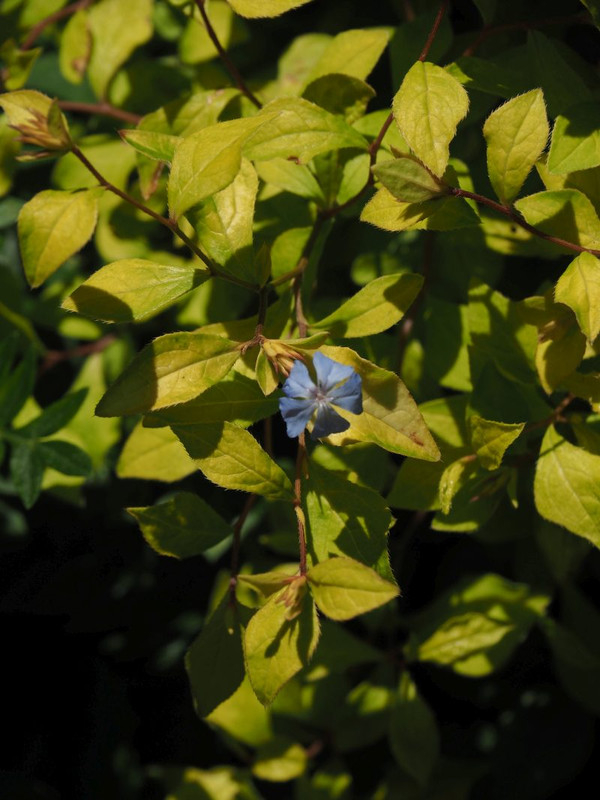 P6138341