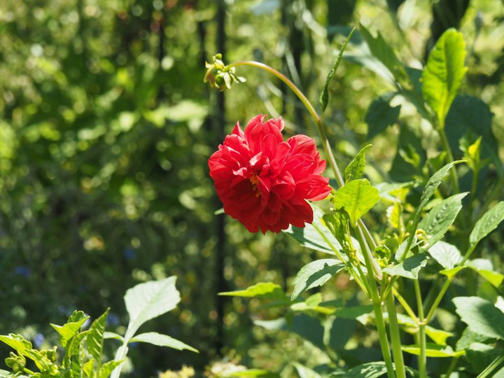 P6138353