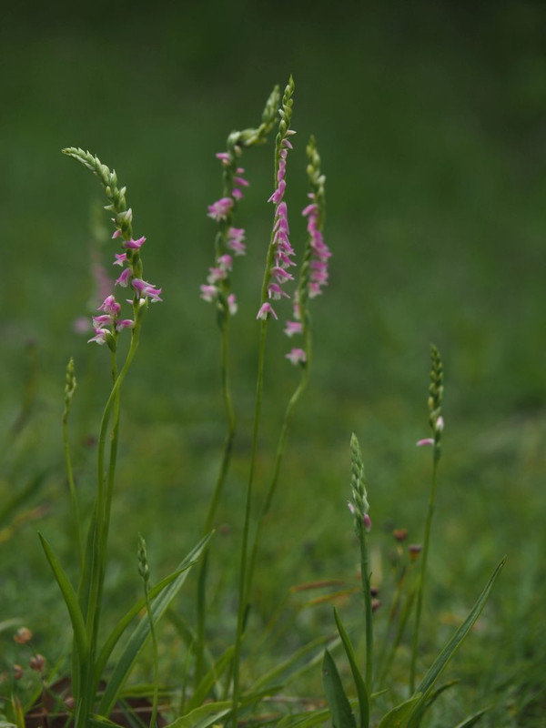 P6138355