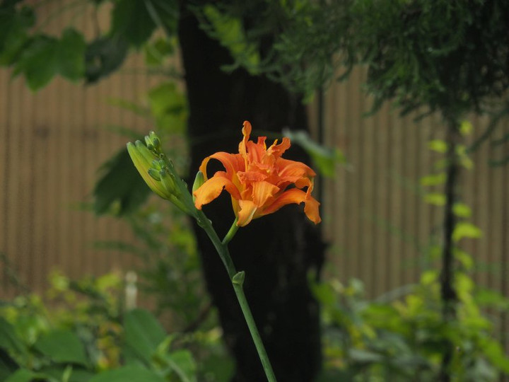P6218525