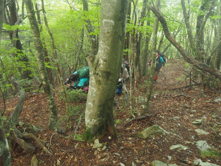 P6098041ginnryousou_satuei