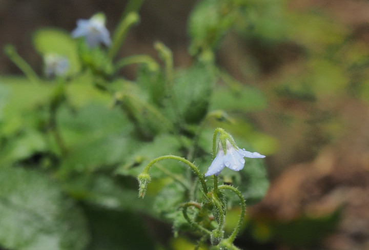 P6238563