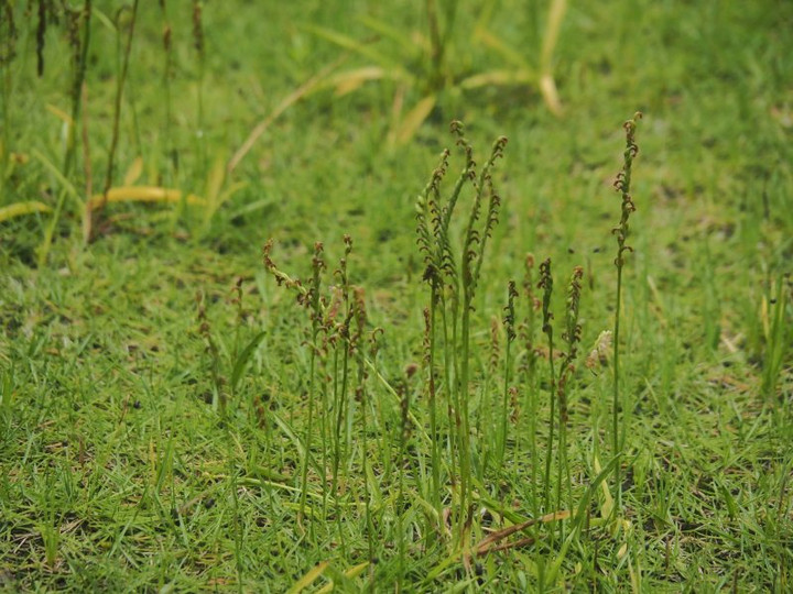 P7068756