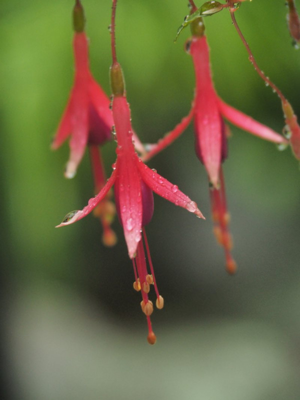 P7068758