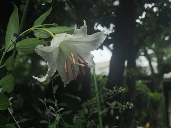 P7088765