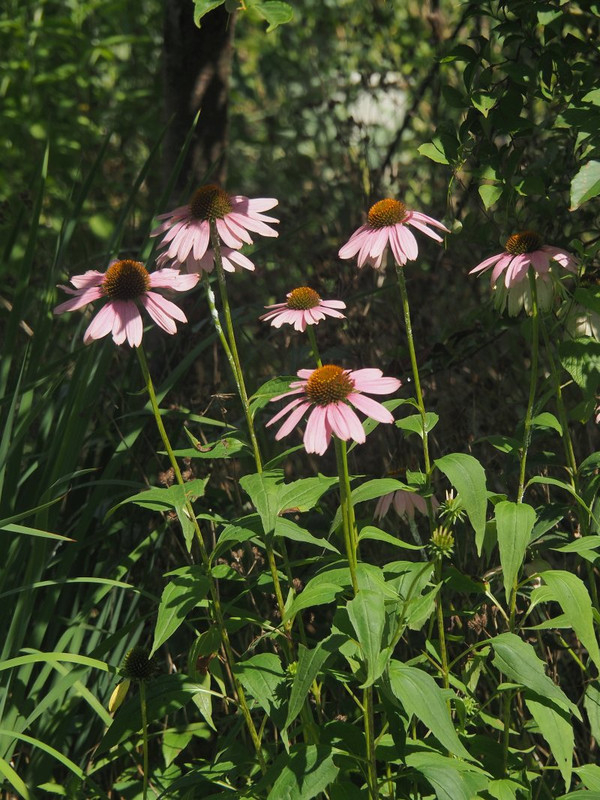 P7108777