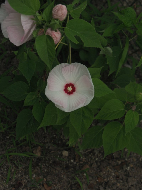 P7128801