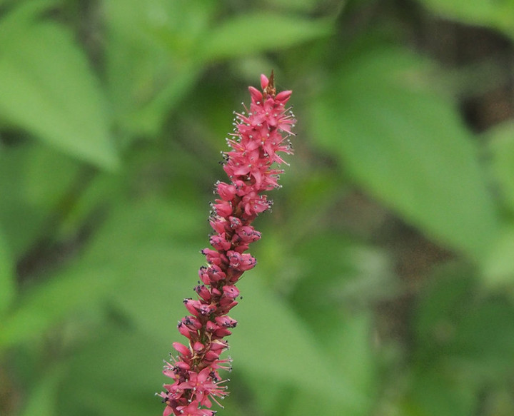 P7128805