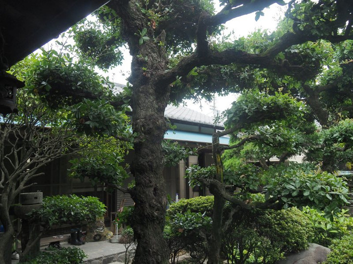P7128809