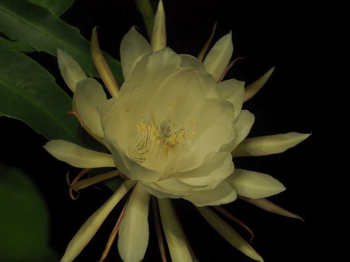 P7148824