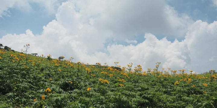 P7158985