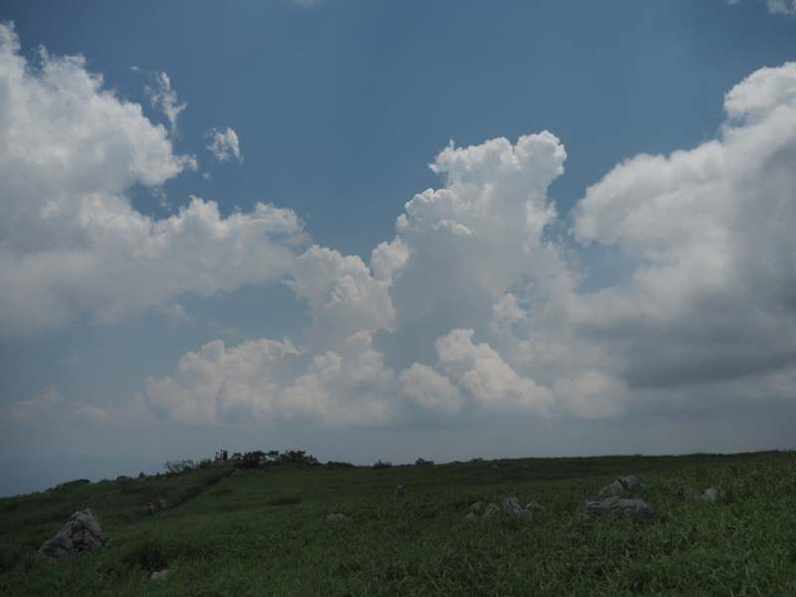 P7159035