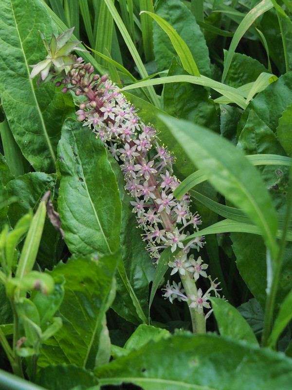 P7189130