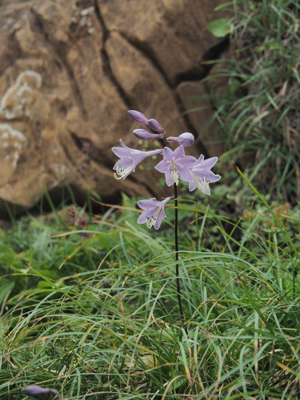 P7199338