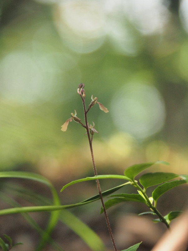 P7199388