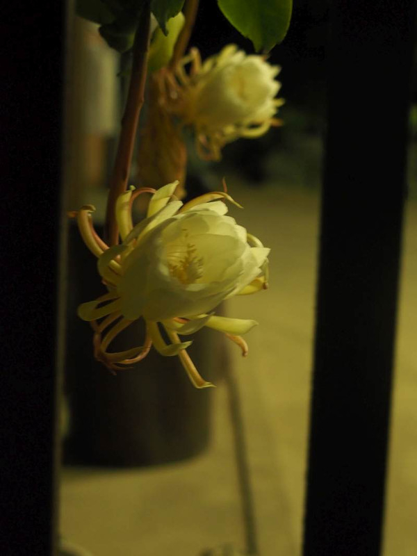 P7289220