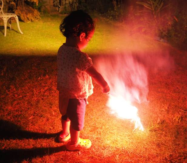 P7299238hanabi