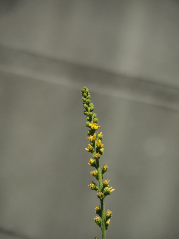 P8089310