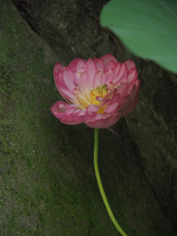 P8159622
