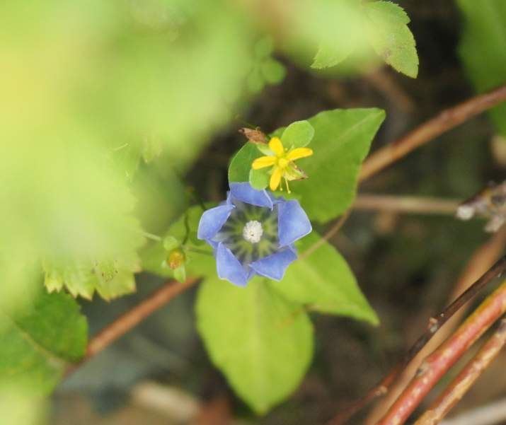 P8269798