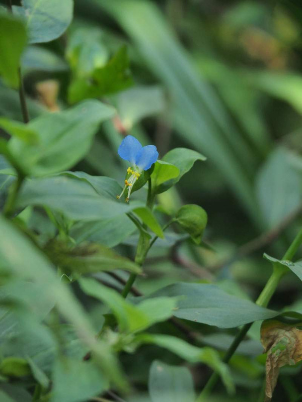 P8270018