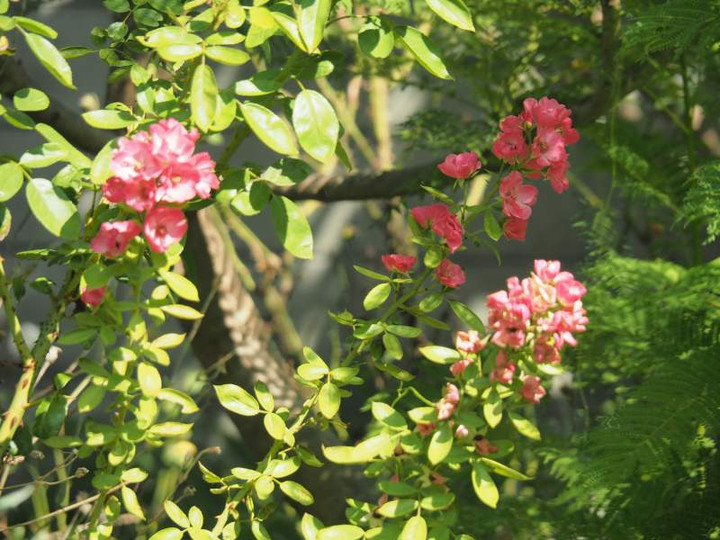 P8270021