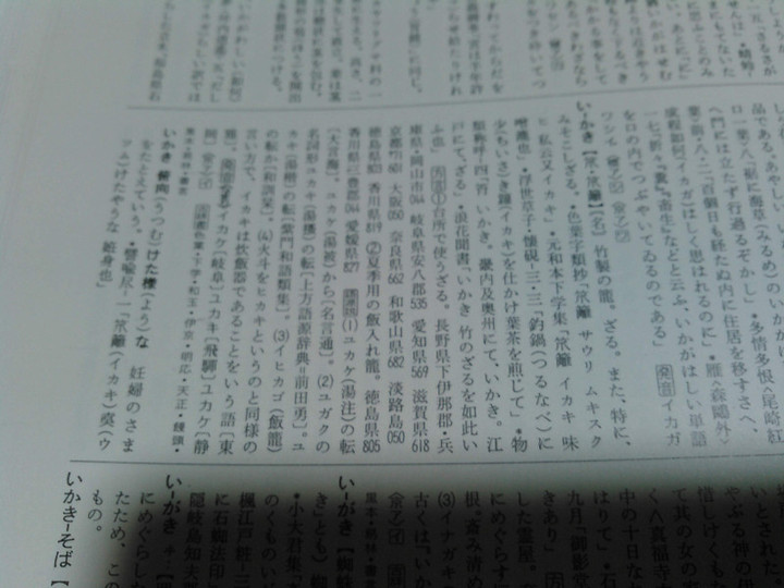 Kimg1484