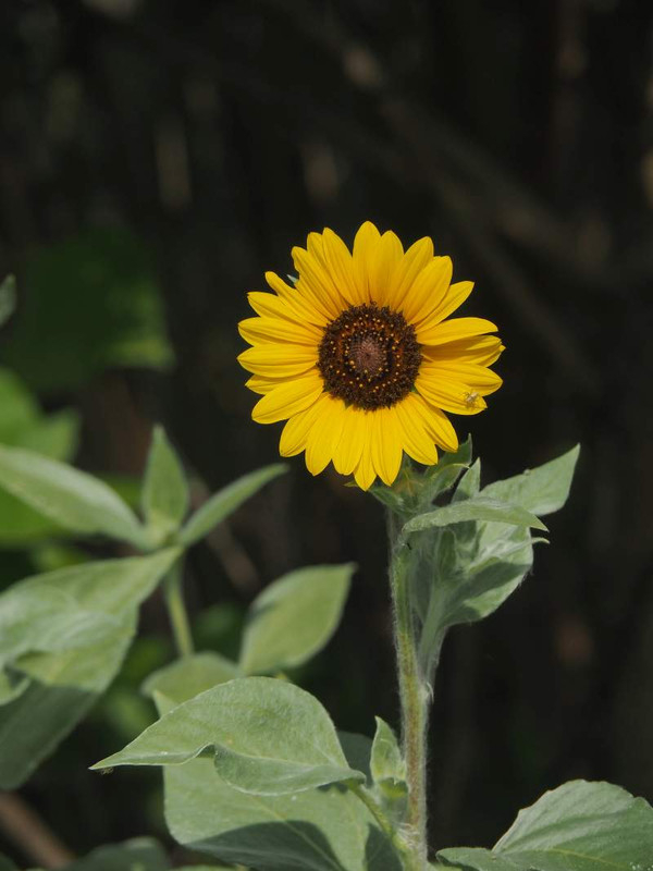 P8280046
