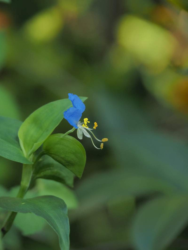 P8300068