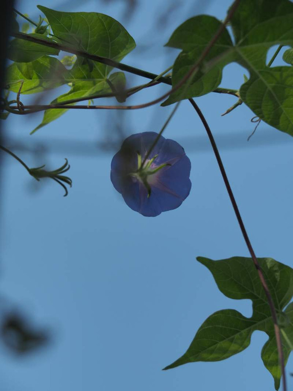 P8300076